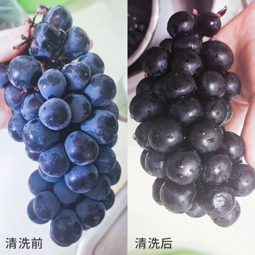 非常時(shí)期不要慌，做好這7道防護(hù)——非離子表面活性劑的安全應(yīng)用指南